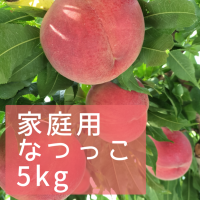 お得な家庭用モモ| 信州真島の「くだもの農家 糸や」新鮮なモモ